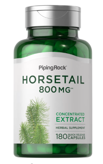 HORSETAIL