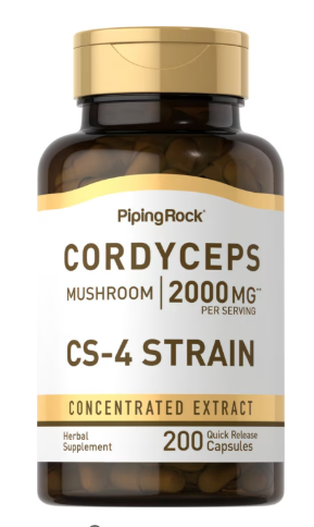 CORDYCEPS MUSHROOM